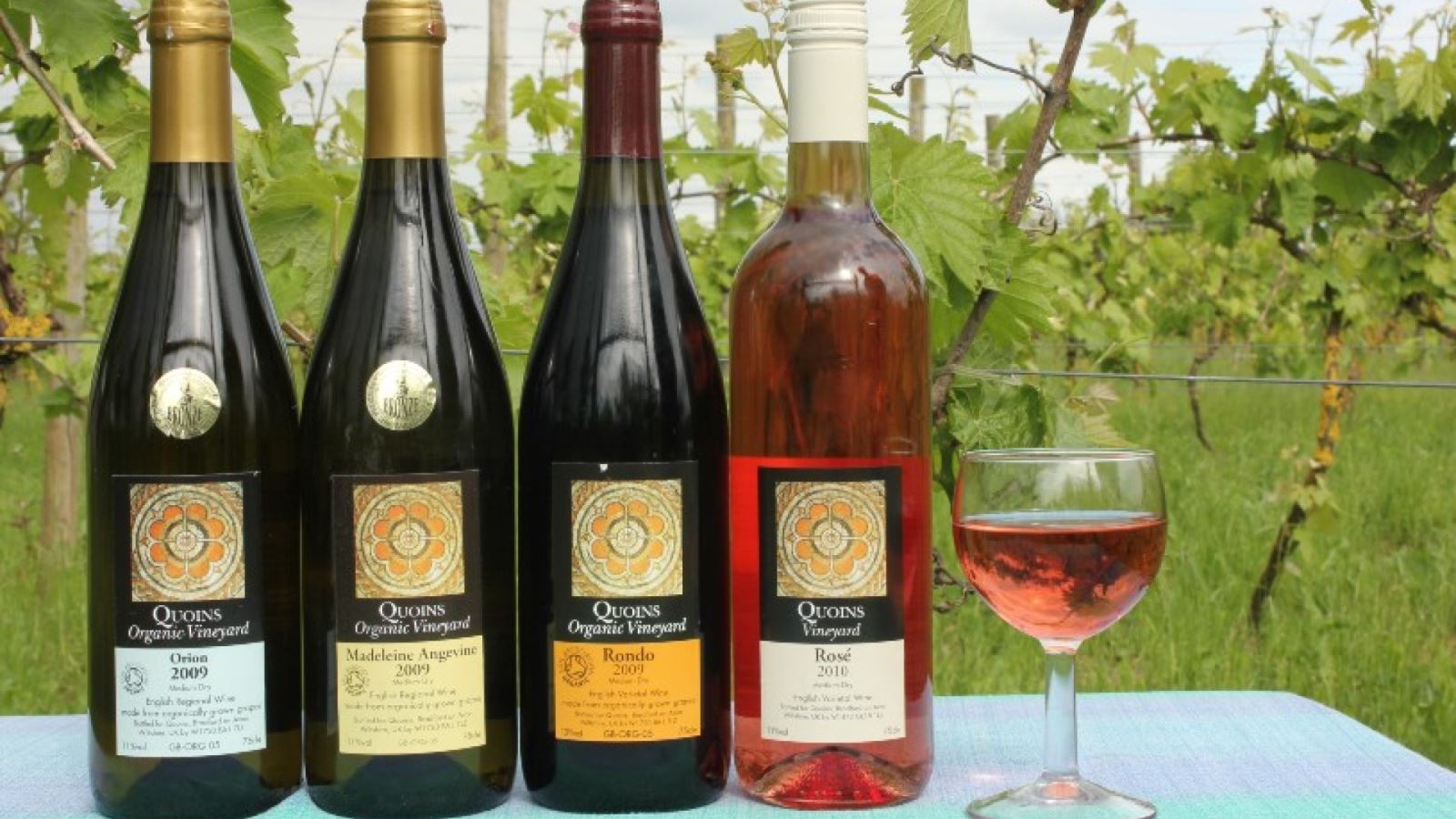 Quoins Organic Vineyard - Wine Bottles
